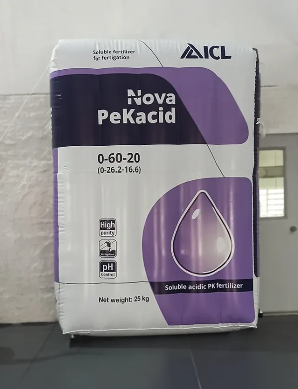 Produto/Embalagem - Foto 85